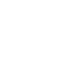3Steps-Phone-Logo-2014-white